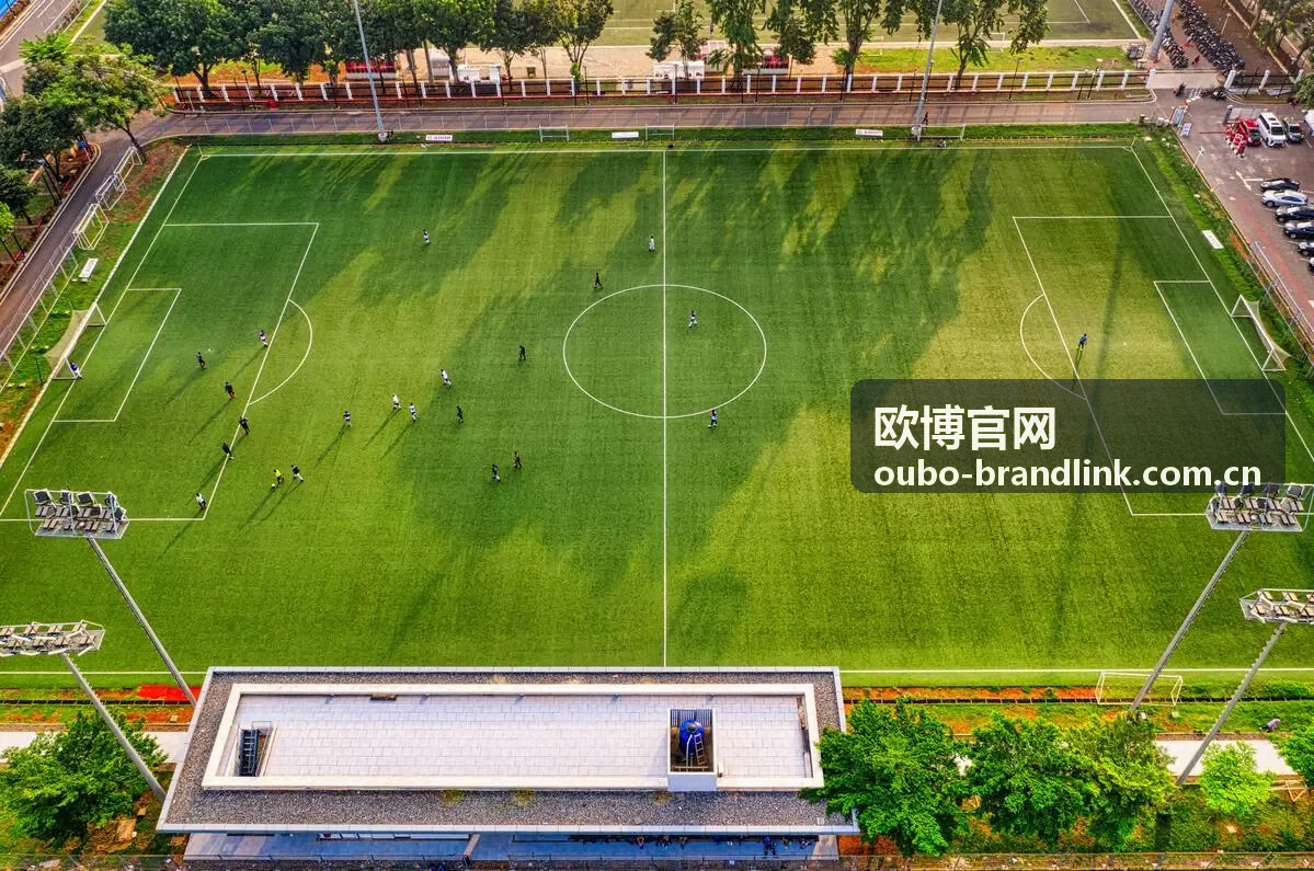 欧博官网数据可视化面板产品截图